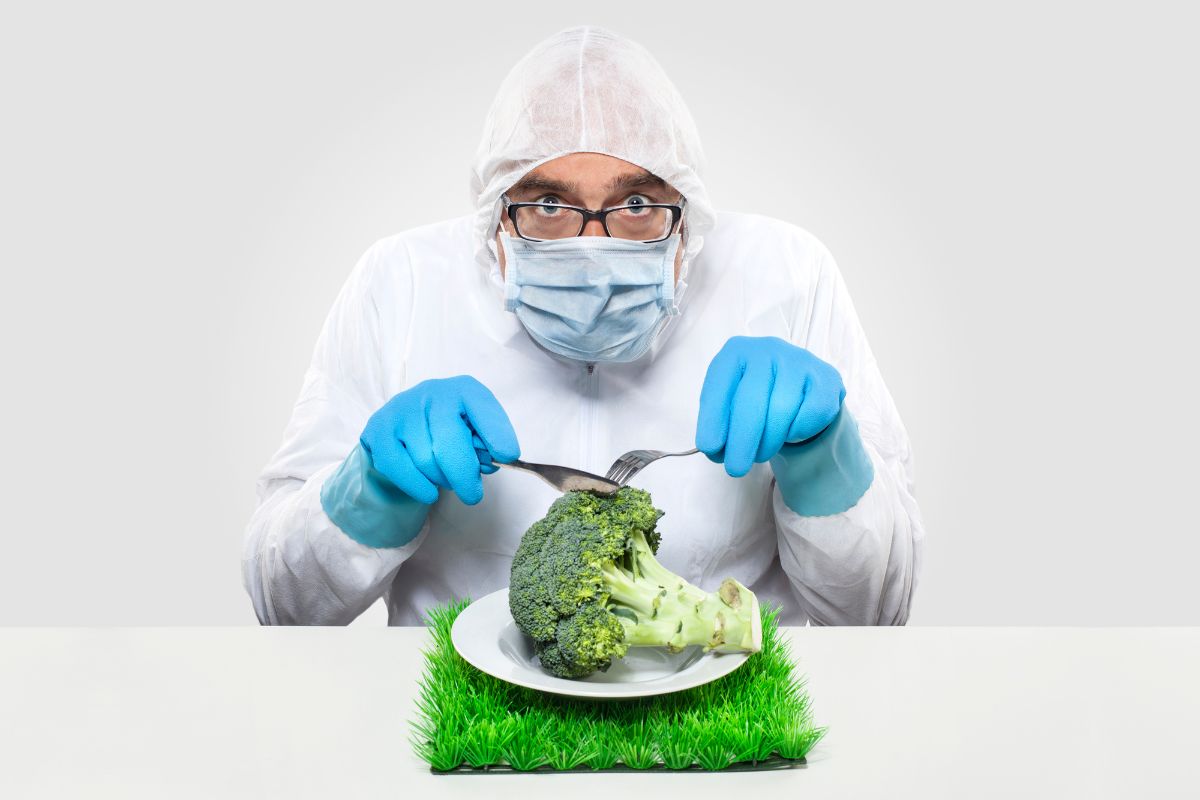 Alimentação do Futuro