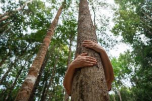 Conectando-se com a Natureza